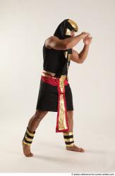 ATILLA EGYPTIAN FIGHTER